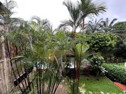 Point Loma (D11), Apartment #463553451